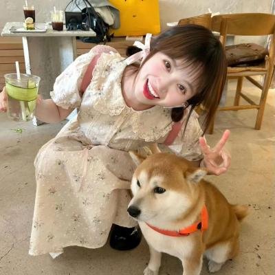 来日同行